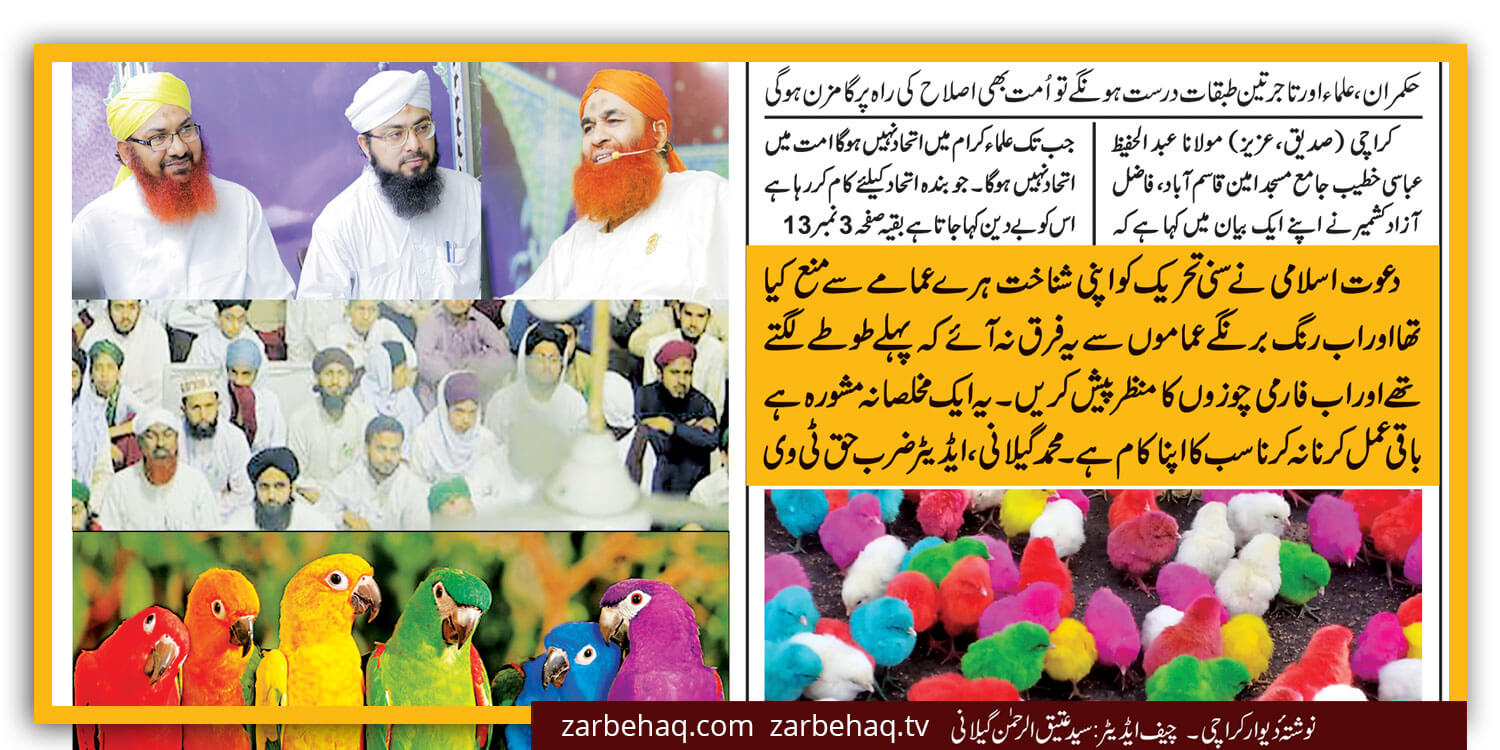 dawat-e-islami-chicken-chick-colorful-green-and-colorful-parrot-molana-ilyas-asri-ahle-hadees-gujranwala-farmi-choozee-zarbehaqtv