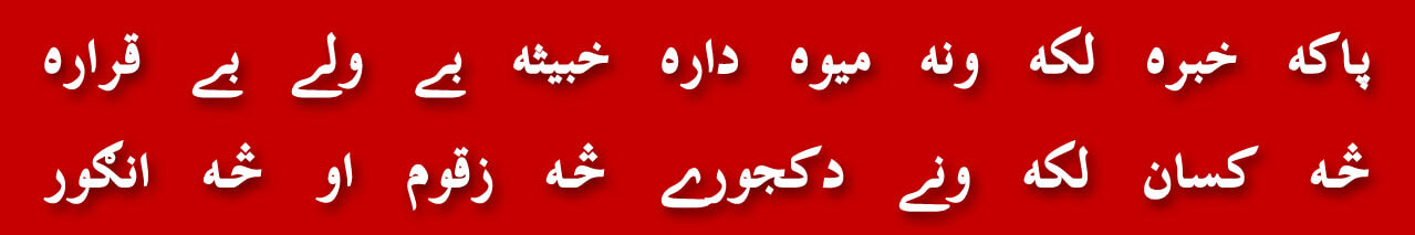 128-dehshat-gardi-misaq-e-madina-mufti-rafi-usmani-zina-bil-jabr-daish-khilafat-daily-jang-newspaper